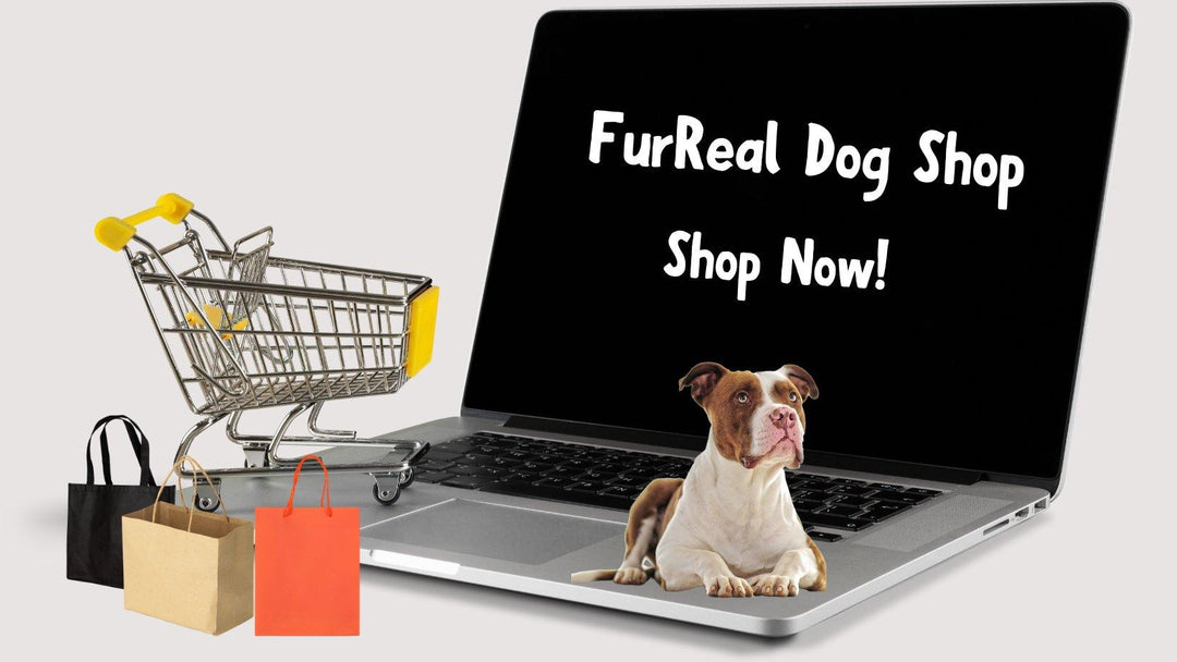 Top 5 Trending Products to Solve Dog Owners' Problems - FurReal